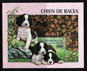 Бенин, 1998, Собаки, блок